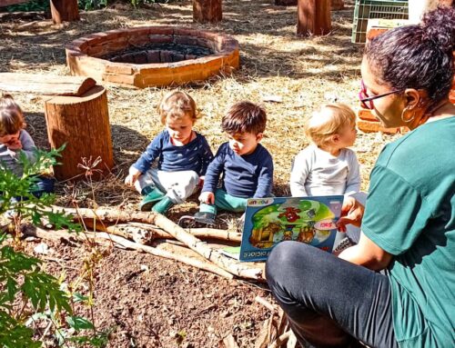 Individualizando a educação